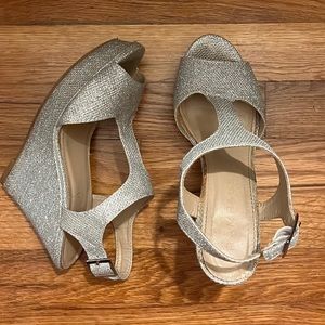 Size 6 Silver Wedge